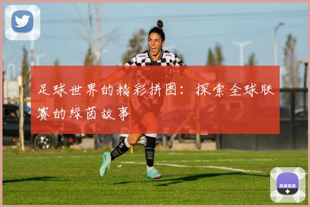 足球世界的精彩拼图：探索全球联赛的绿茵故事