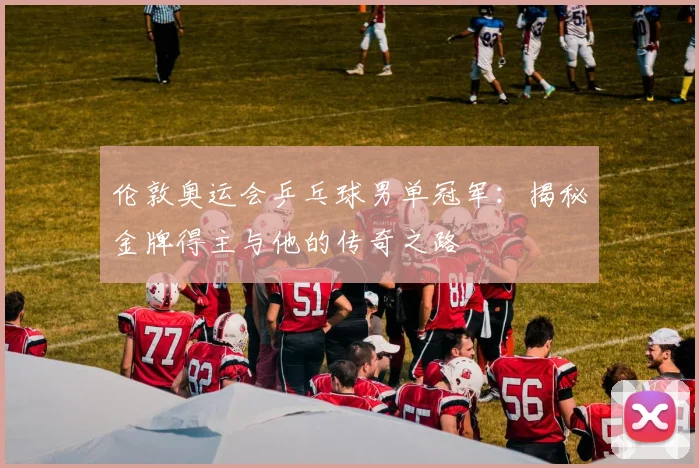 伦敦奥运会乒乓球男单冠军：揭秘金牌得主与他的传奇之路