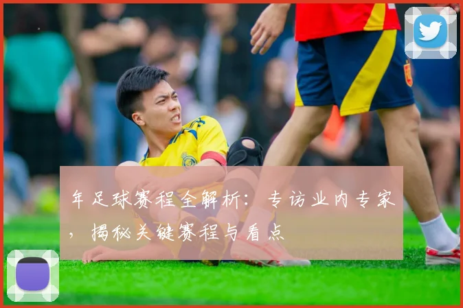 年足球赛程全解析：专访业内专家，揭秘关键赛程与看点